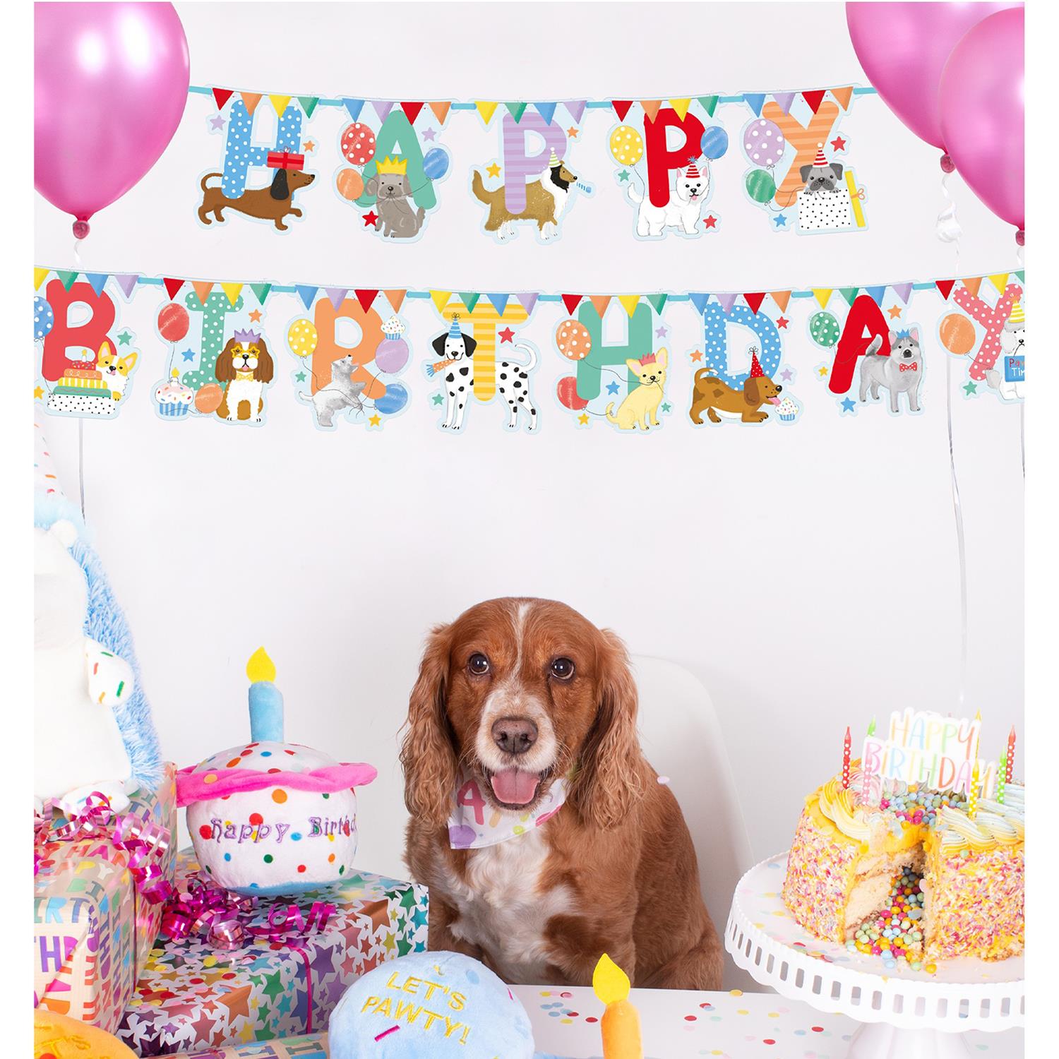 Happy Birthday Pet Banner