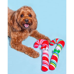 Christmas Candy Cane Themed Plush Dog Toy