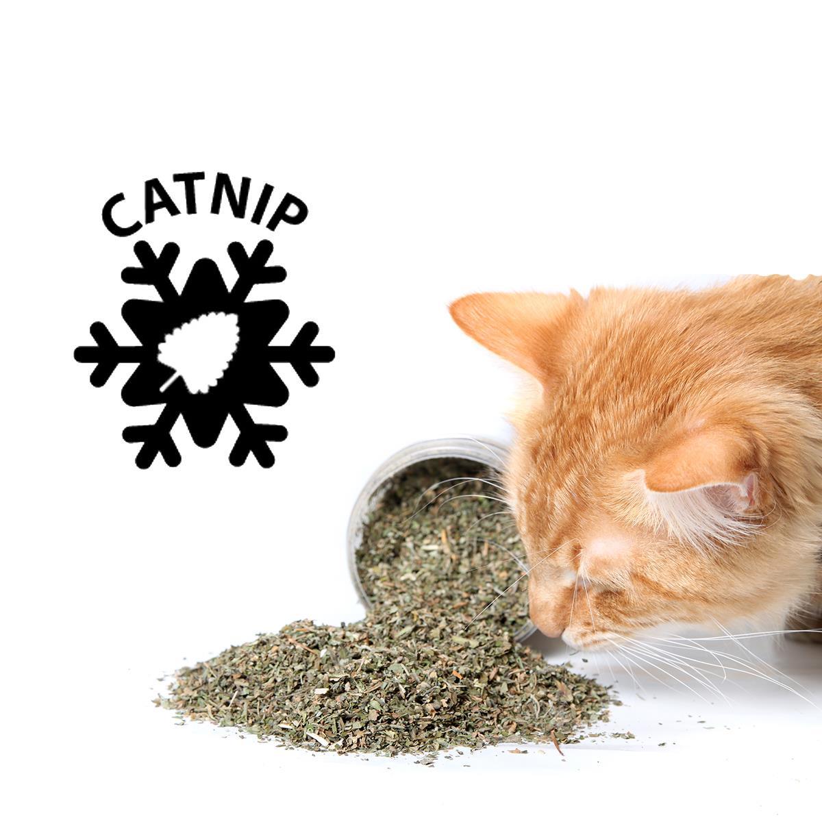 Christmas Catnip Tree & Pudding Toy