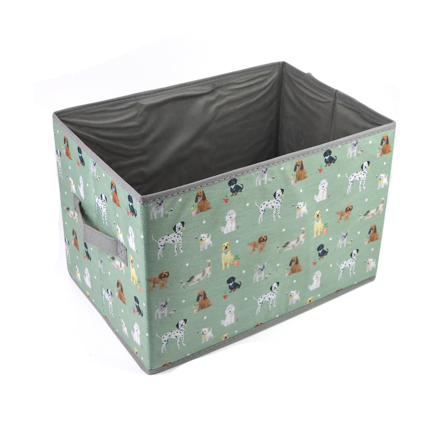 Green Dog Toy Storage Box