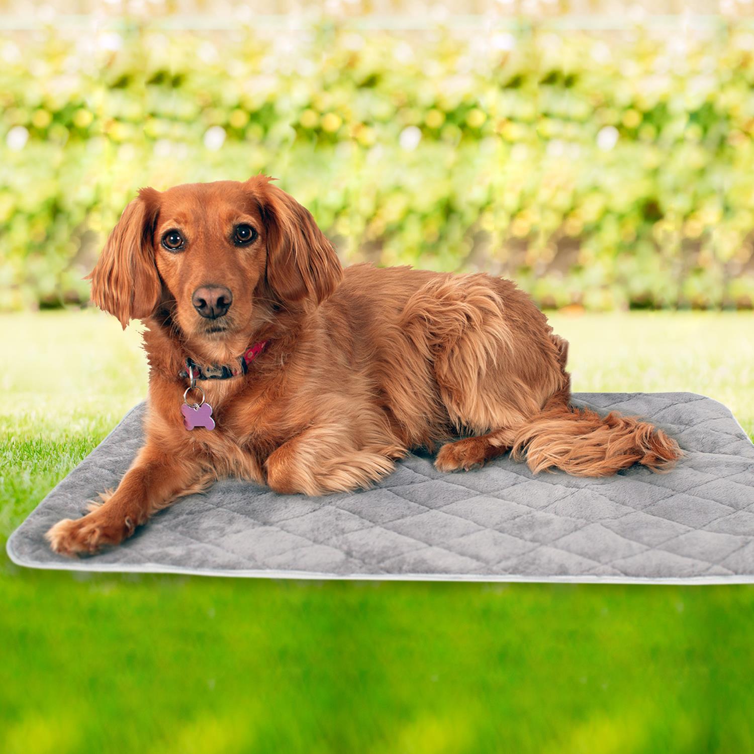 Portable Thermal Pet Blanket