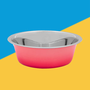 Summer Ombre Stainless Steel Pet Bowl