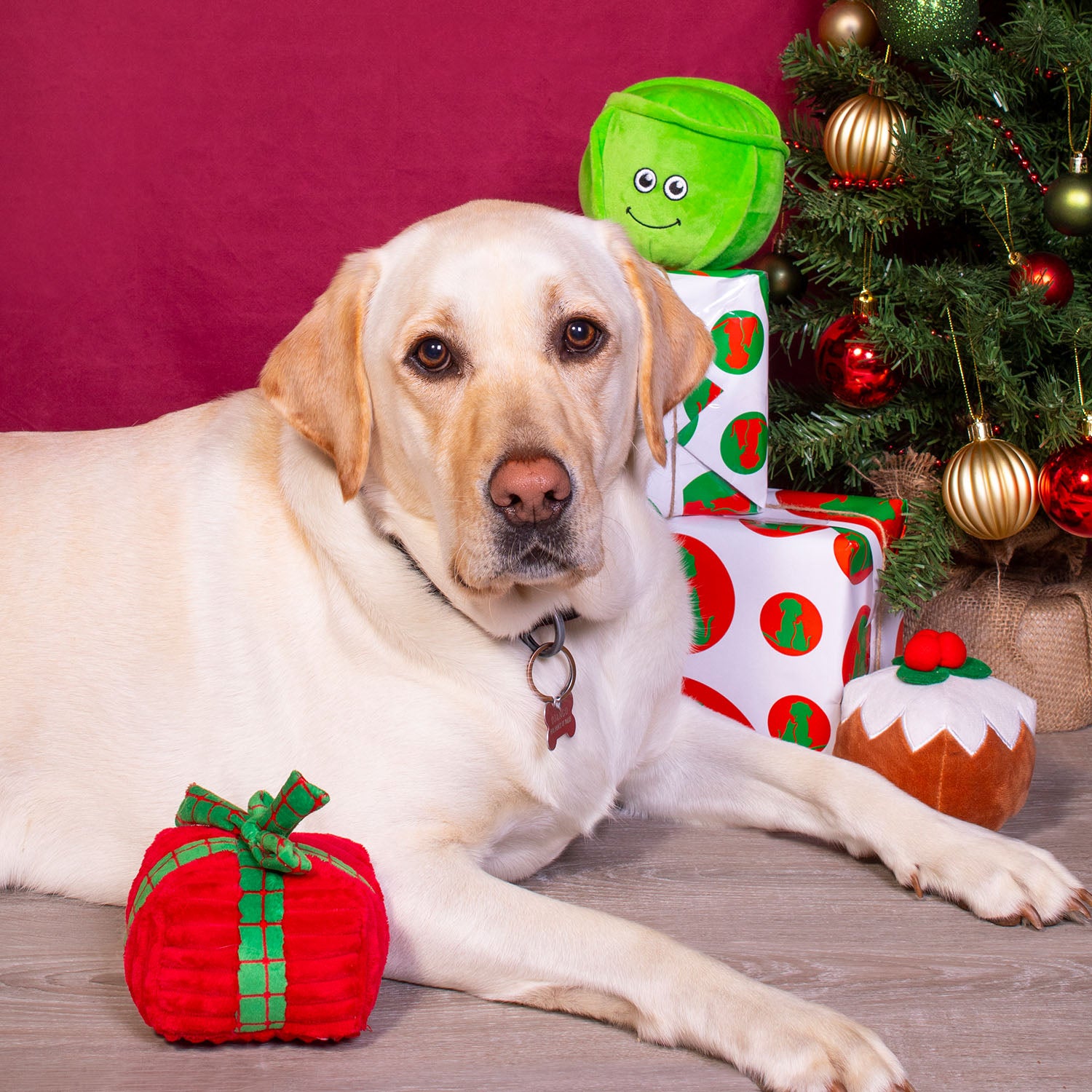 Present, Sprout & Pudding Christmas Dog Toys