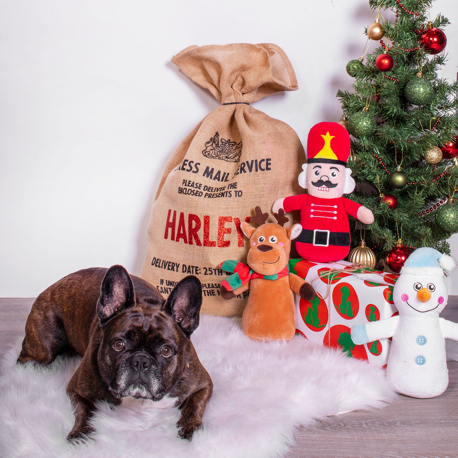 french bulldog with a reindeer snowman and nutcracker plush toys