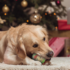 Christmas Tennis Balls