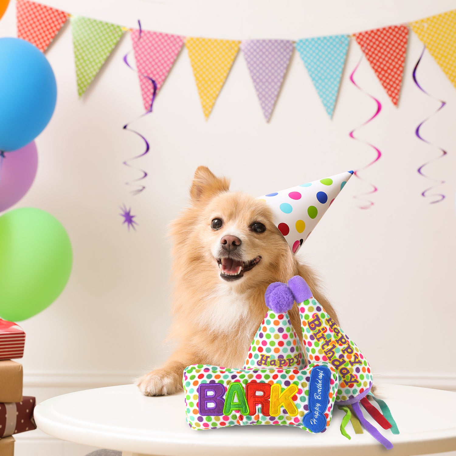 Birthday Plush Dog Toy