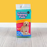 Blue New Puppy Starter Hamper