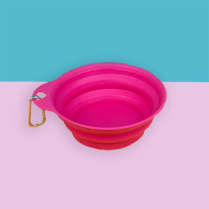Summer Collapsible Water Bowls