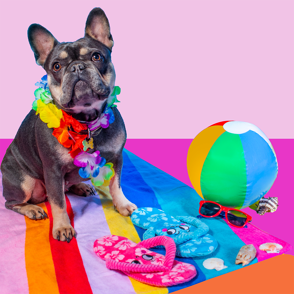Plush Flip Flop Summer Dog Toys