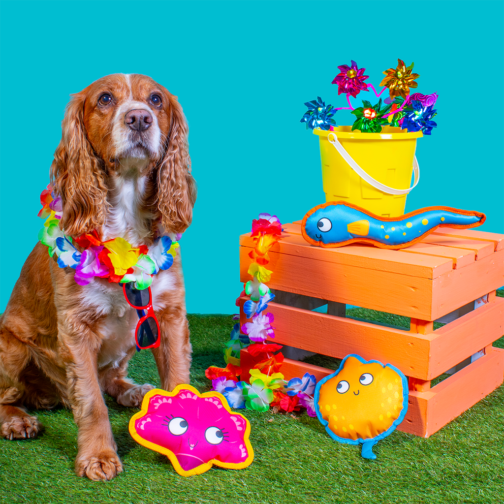 Floating Summer Fish Dog Toy smartpetshop