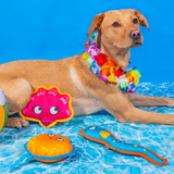 Floating Summer Fish Dog Toy