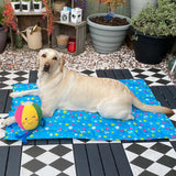 Pet Cooling Mat 3 Sizes