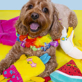 Pineapple Summer Fruit Plush Dog Toy