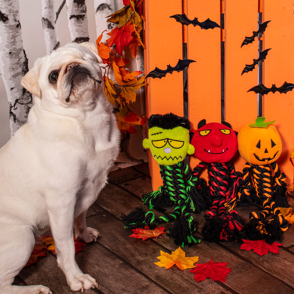 halloween dog plush toys devil haunted good toys for ddogs house pumpkin mummy frankenstein pets