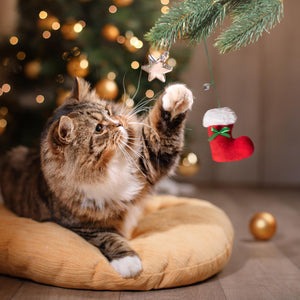 Cat's Christmas Hamper
