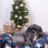 dog with a christmas blanket sherpa fleece and dog print