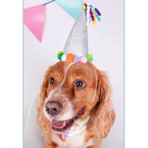 Birthday Bandana and Party Hat