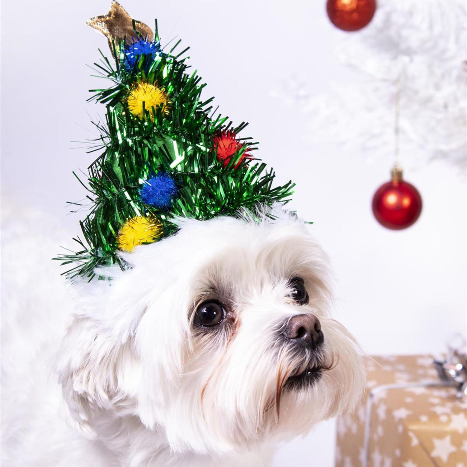 pet dog hat in christmas tree design tinsel and pom pom design