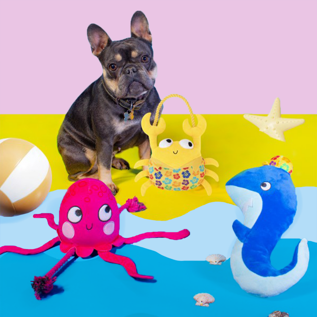 Summer Under The Sea Plush Dog Toy