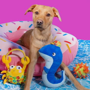 Summer Under The Sea Plush Dog Toy