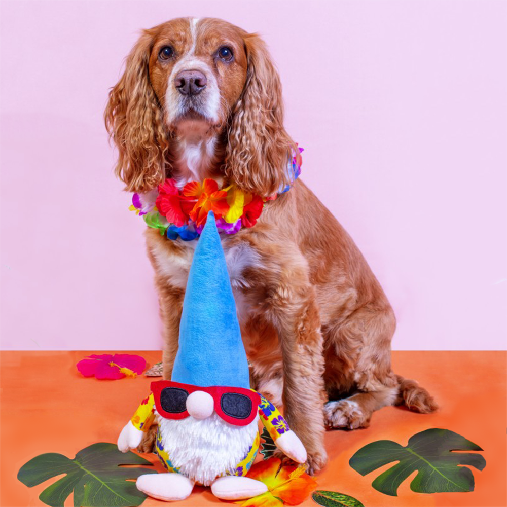 Summer Gonk Plush Dog Toy