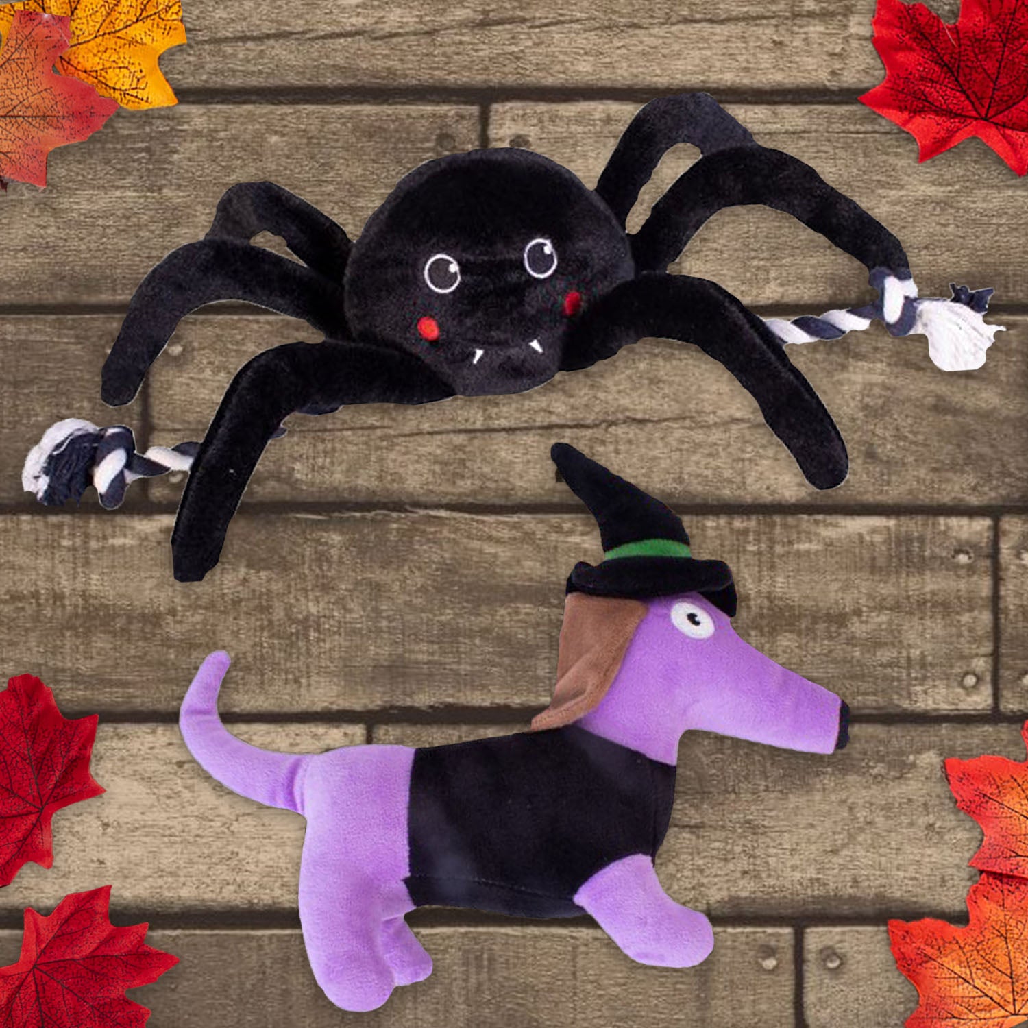 Set of 2 Witch and Spider Halloween Dog Toys